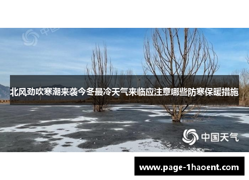 北风劲吹寒潮来袭今冬最冷天气来临应注意哪些防寒保暖措施
