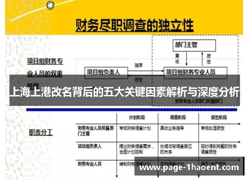 上海上港改名背后的五大关键因素解析与深度分析