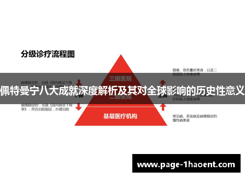 佩特曼宁八大成就深度解析及其对全球影响的历史性意义