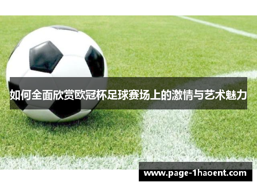 如何全面欣赏欧冠杯足球赛场上的激情与艺术魅力