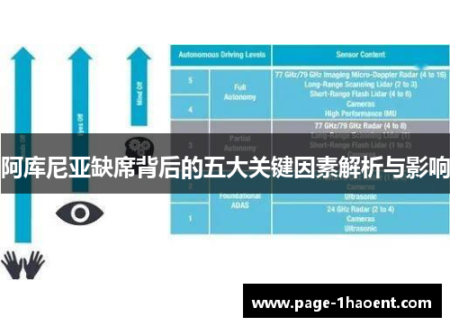 阿库尼亚缺席背后的五大关键因素解析与影响