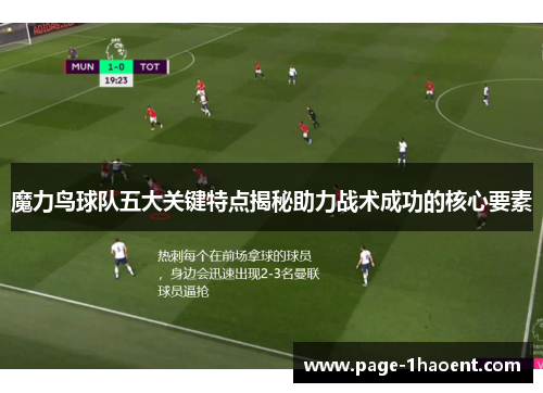 魔力鸟球队五大关键特点揭秘助力战术成功的核心要素 魔力鸟球队五大关键特点揭秘助力战术成功的核心要素